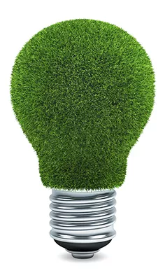 grass-lightbulb-web