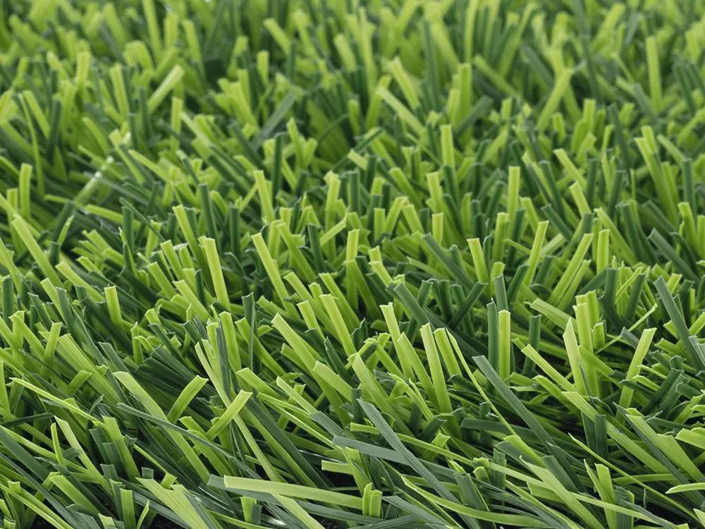 trulawn-football-top-image