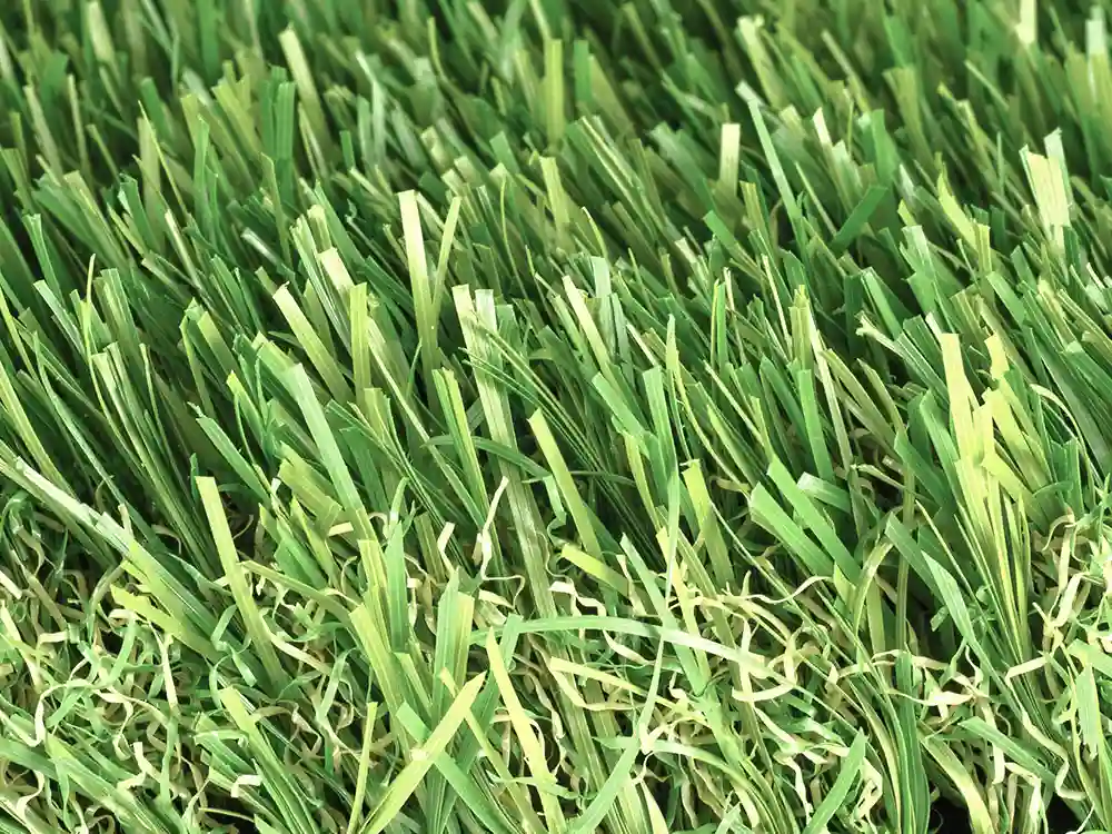 Trulawn Prestige detail