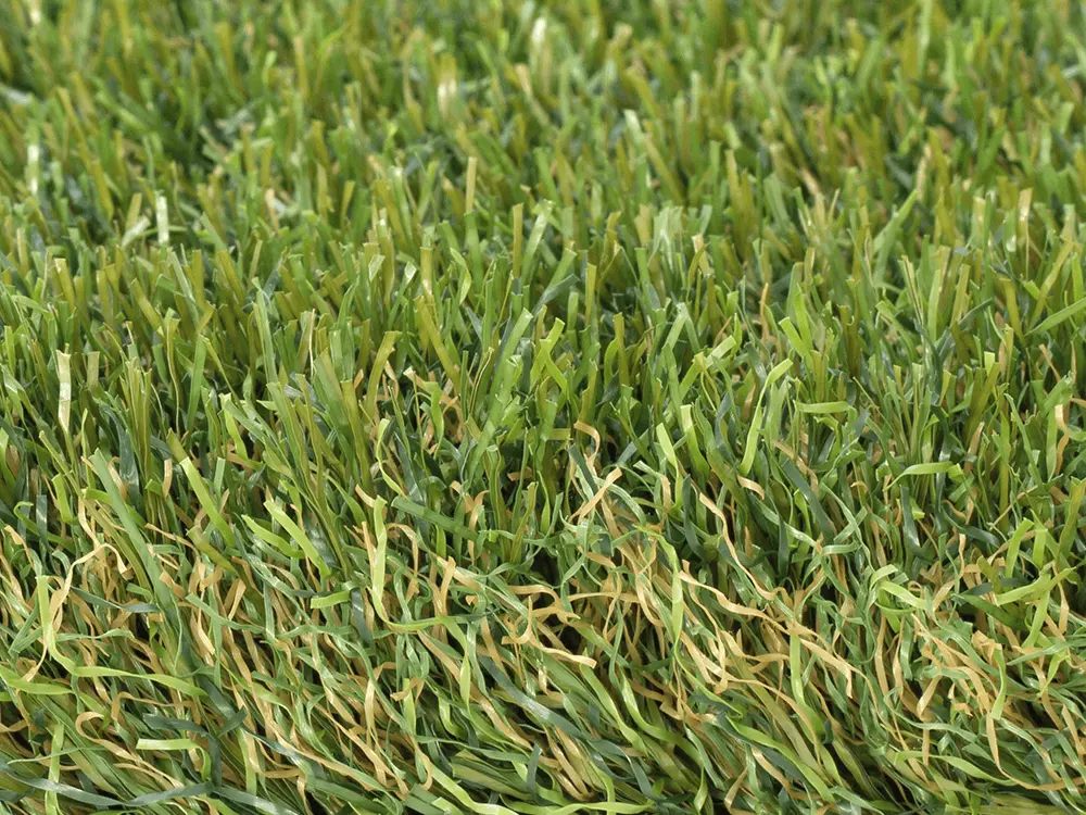 Trulawn Titanium side