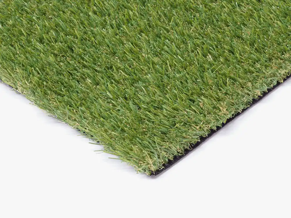 Trulawn Pooch detail