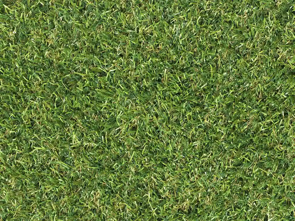 Trulawn Titanium top