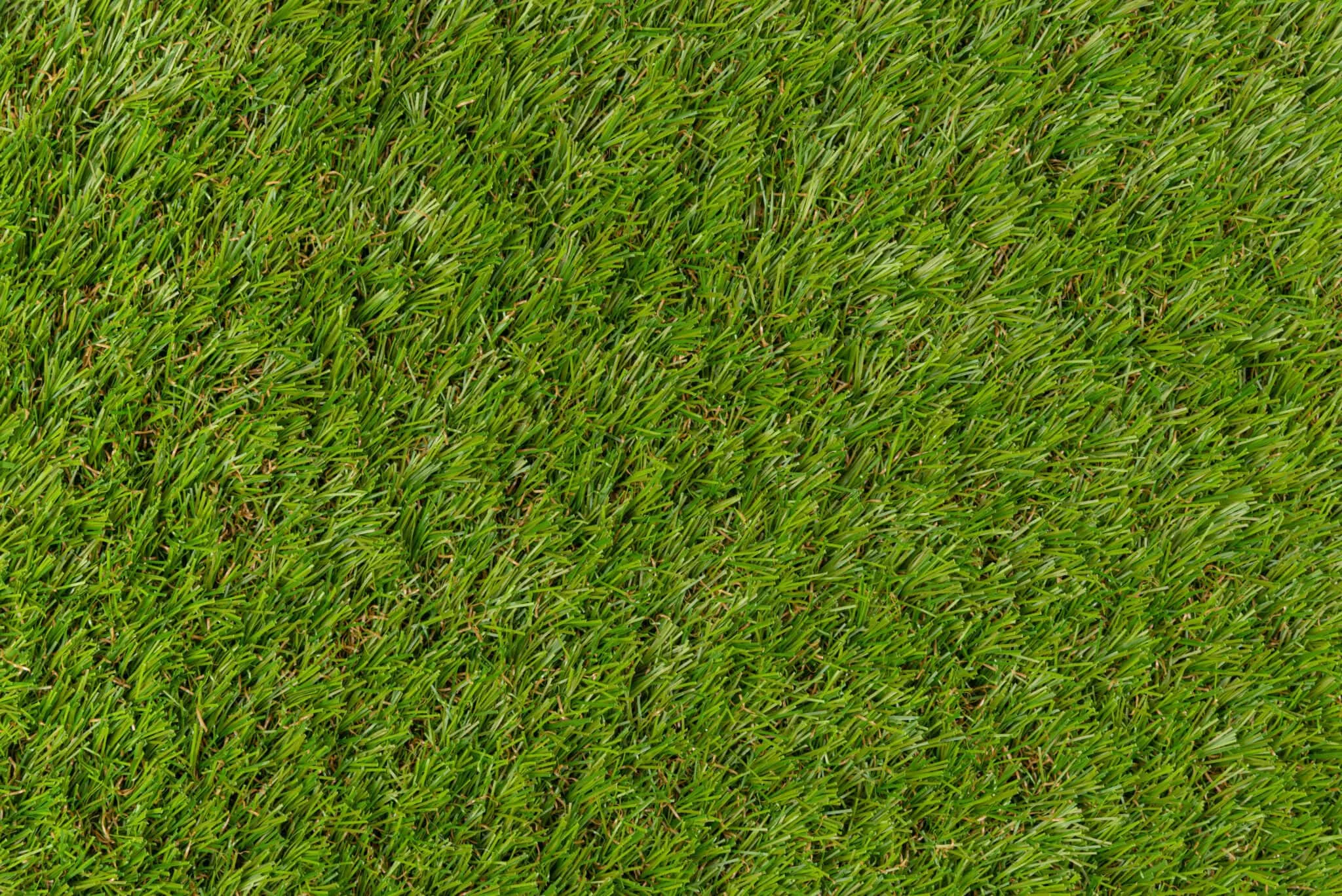 namgrass-Wilverley 3