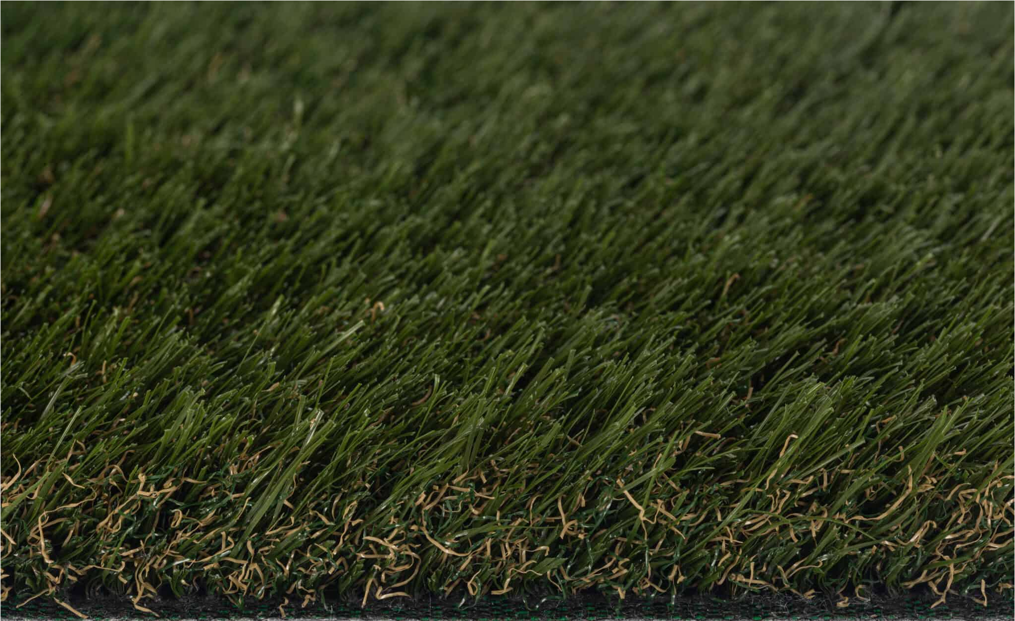 namgrass exbury dark 2