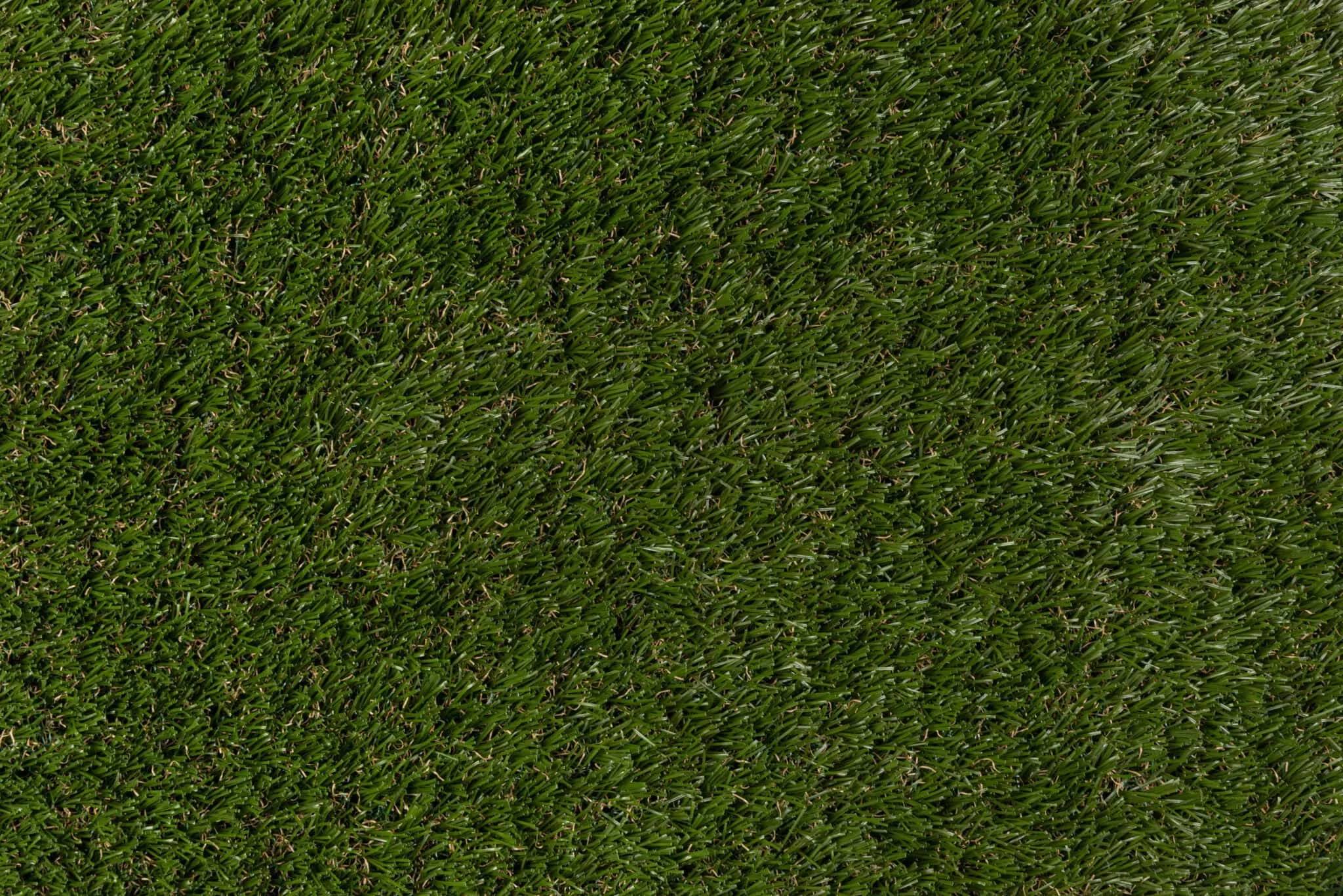 namgrass exbury dark 3