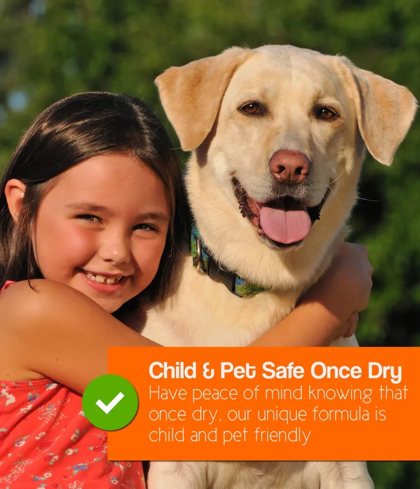 pro-kleen Artificial Grass Maintenance 3