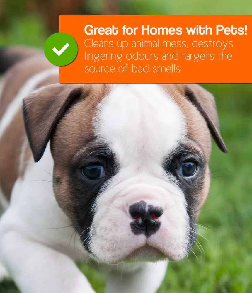 pro-kleen Artificial Grass Maintenance 5