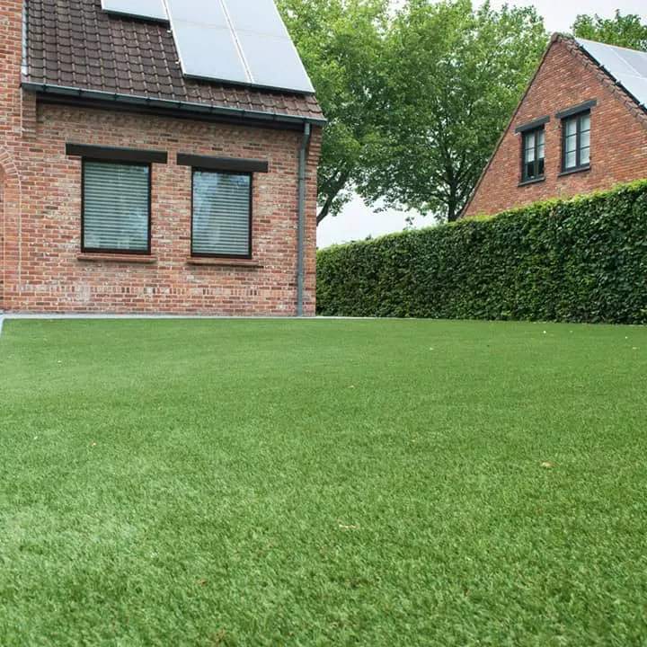 namgrass exbury dark 4