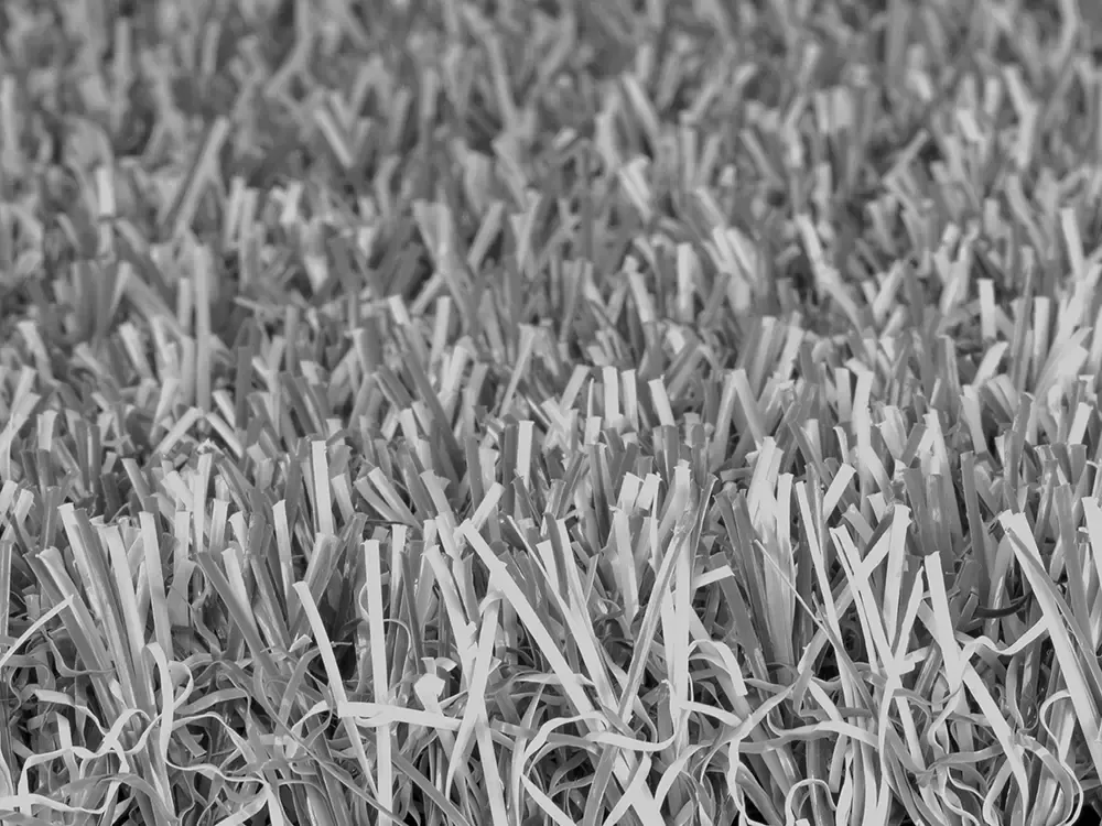 Trulawn Lifestyle 12