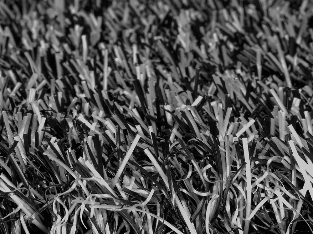 Trulawn Lifestyle 10