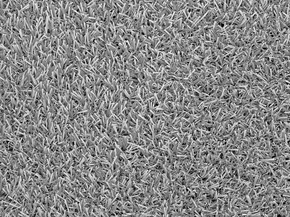 Trulawn Lifestyle 13