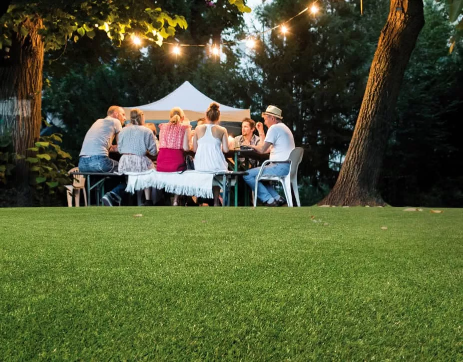 Artificial Grass residential 1