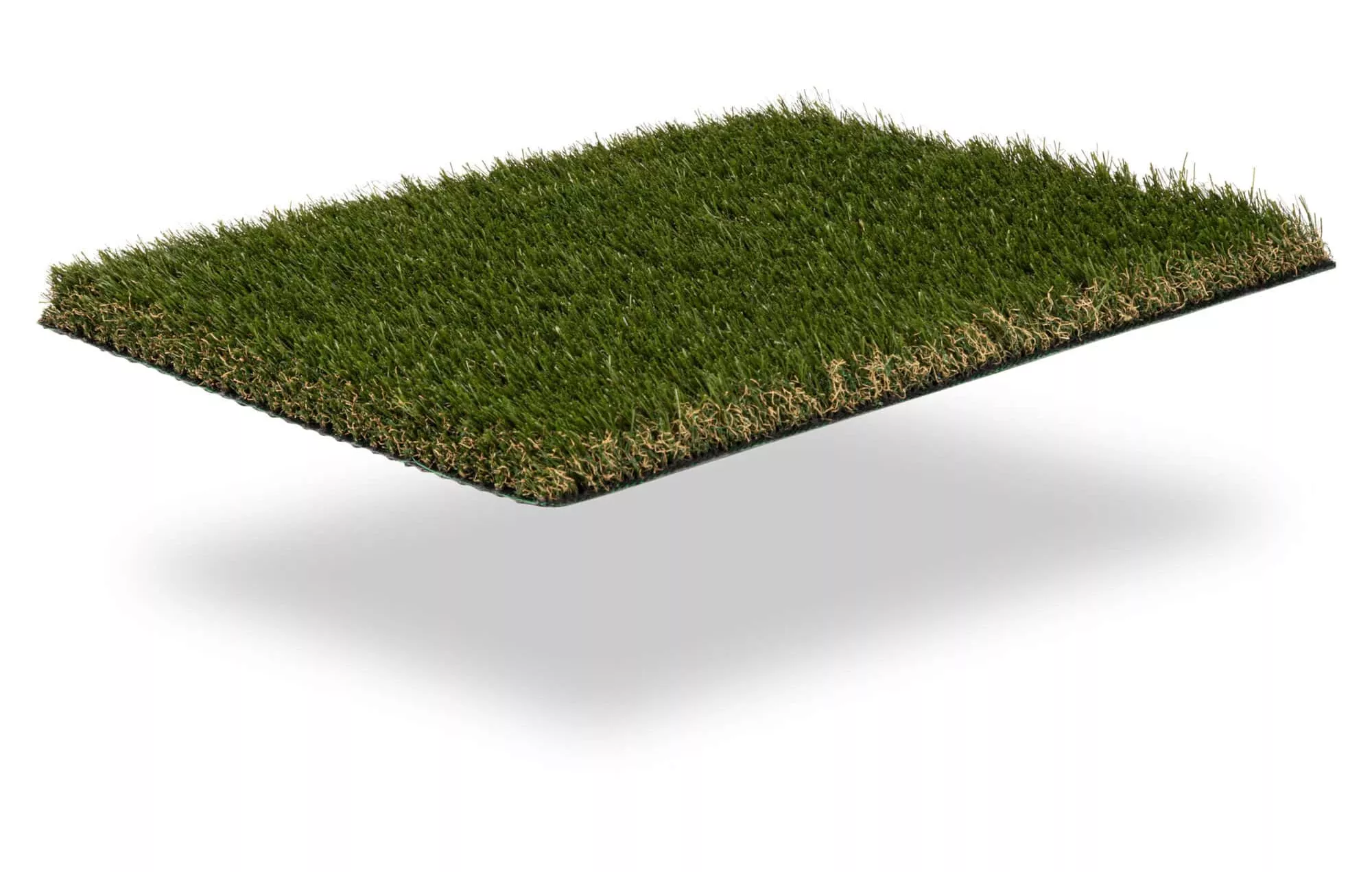 namgrass exbury dark