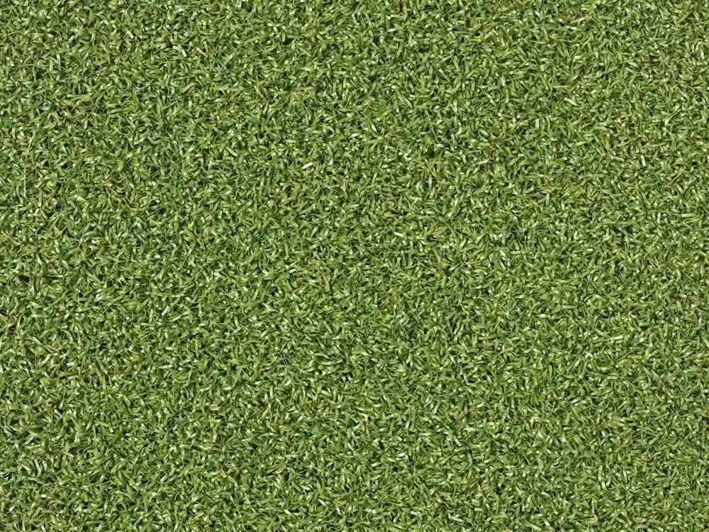 Trulawn Multi-Play emerald 2