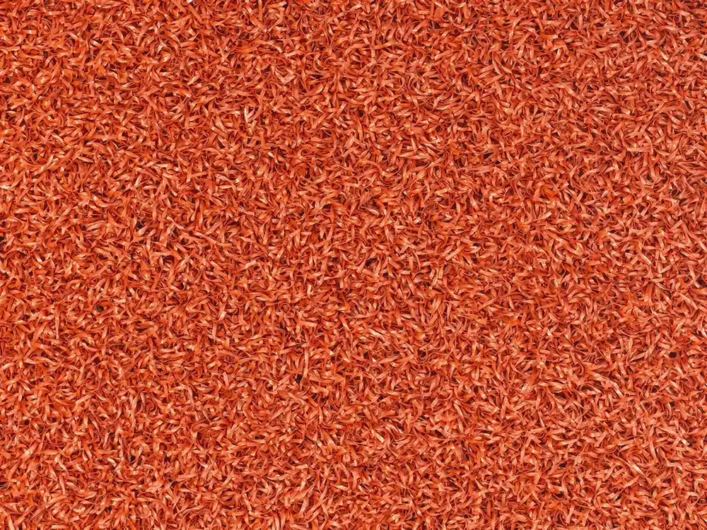 Trulawn Trail gravel 1